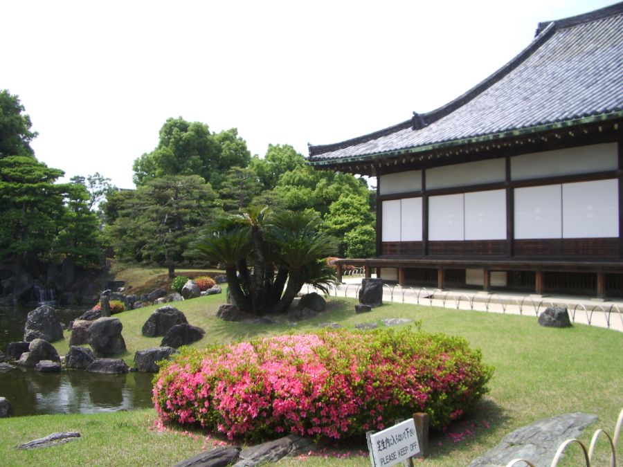 3da35489-2753-4b92-a114-8e3d1719e454