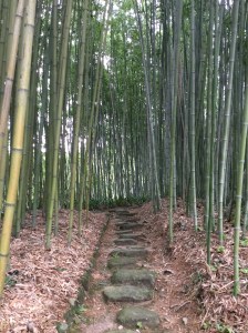 D91E6D6F-BD2B-481A-BC89-F8D11FBC8915